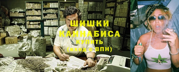 индика Воткинск