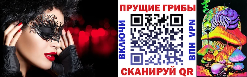 магазин продажи наркотиков  Пестово  Галлюциногенные грибы Magic Shrooms 